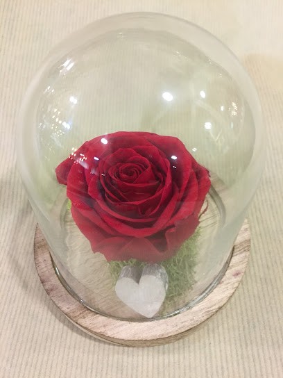 Montrouge 2 RM, Concessionnaire Moto à Montrouge